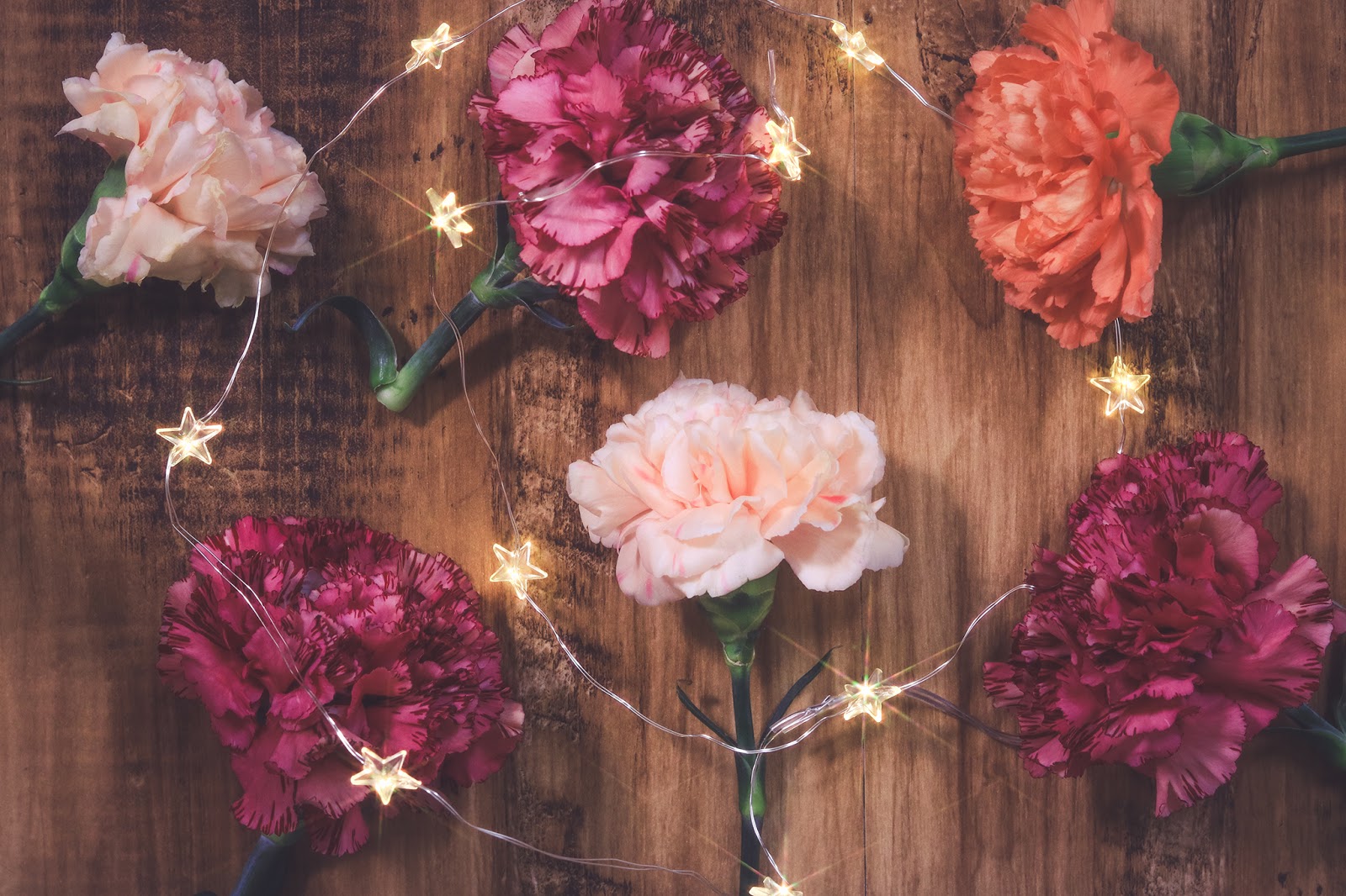 江戸川区の社会保険労務士情報